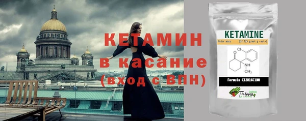 соль ск Инсар