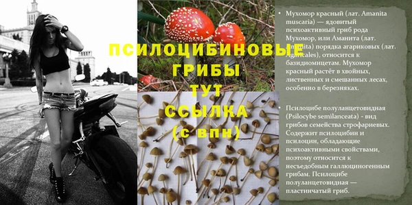 соль ск Инсар