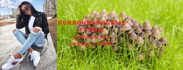 крисы Иннополис