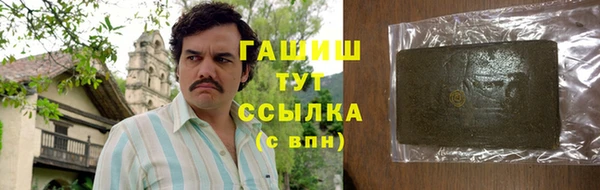 соль ск Инсар