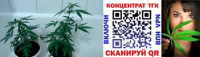 Купить где  Карабаш  ТГК жижа 
