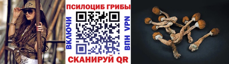 Галлюциногенные грибы Psilocybe  Купить закладки  Карабаш 